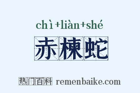 赤楝蛇是什么意思的图片